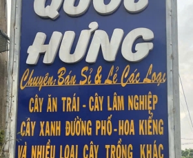 Top 5 địa điểm cung cấp cây giống chất lượng tại Đồng Nai – Lựa chọn đáng tin cậy cho nhà vườn và nông dân