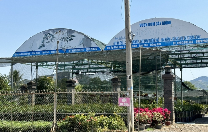 VƯỜN ƯƠM - CÂY GIỐNG QUỐC HƯNG